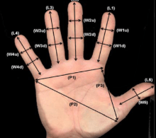 Hand Geometry Recording